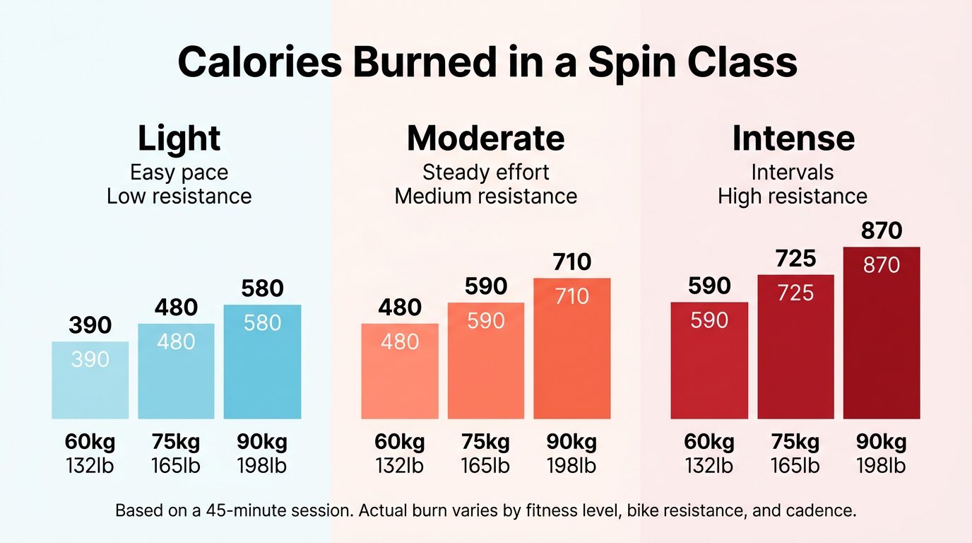 Infographic showing calories burned in a spin class by intensity level and body weight — light, moderate, and intense sessions for 60kg, 75kg, and 90kg riders
